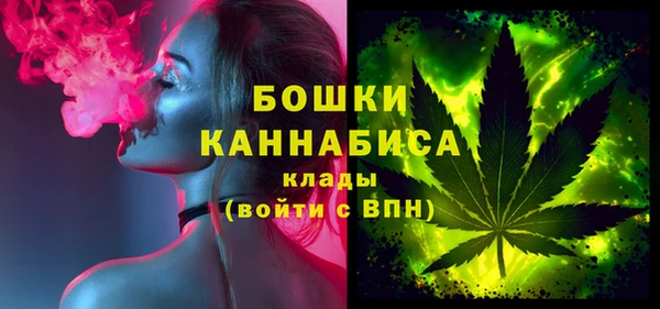 PSILOCYBIN Белокуриха